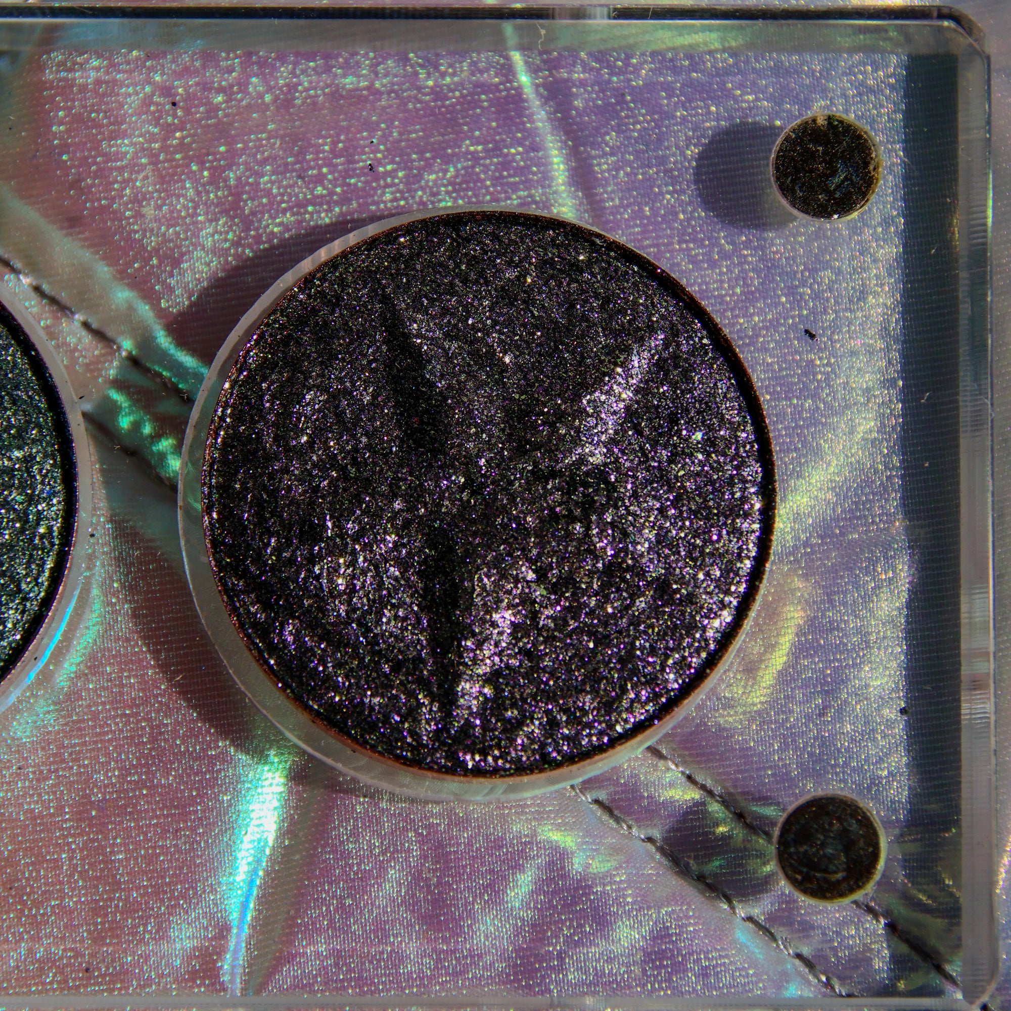 Midnight Bloom Palette