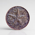 Showstopper sparkle eyeshadow – deep purple sparkly pan with bronze and blue sparkle and embossed star | Shine By SD Cosmetics